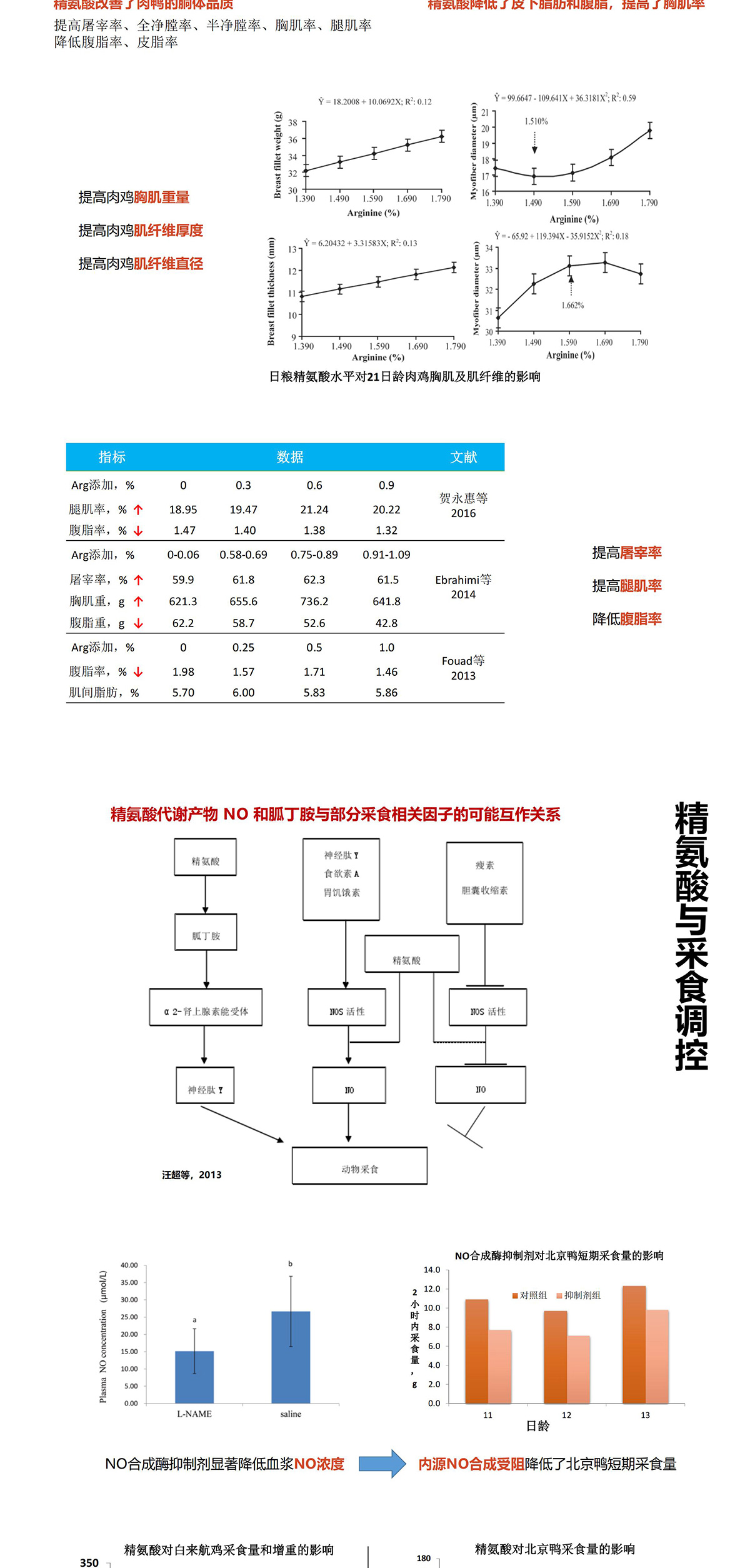 精氨酸 图片 9