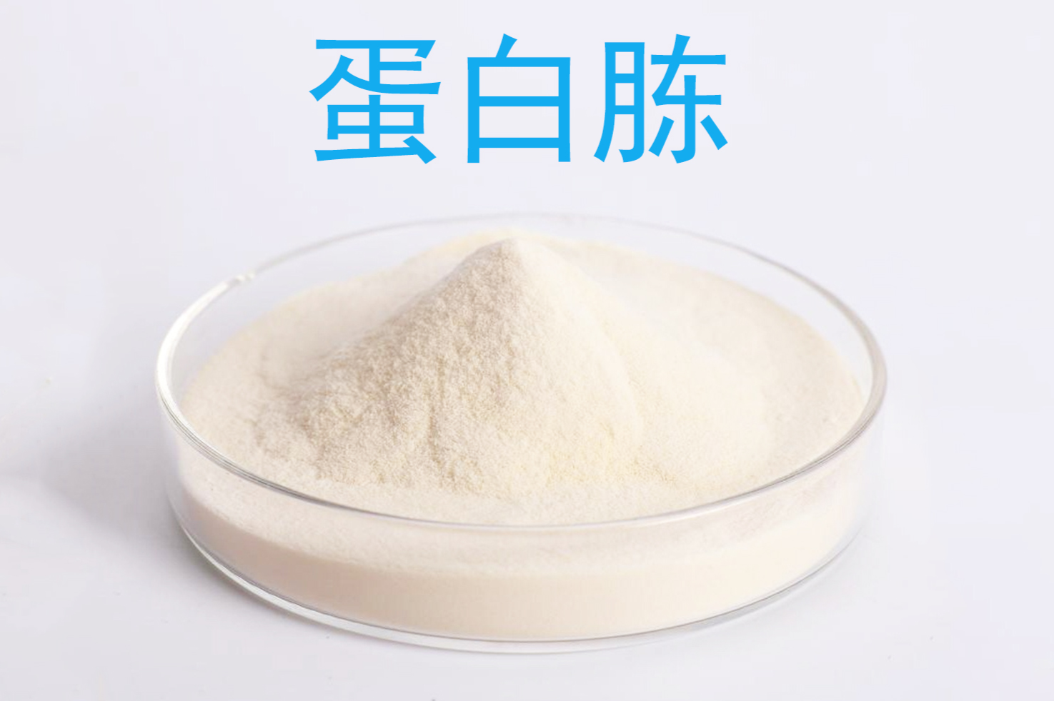 蛋白胨生产厂家怎么选？来源、总氮与培养基性能验证