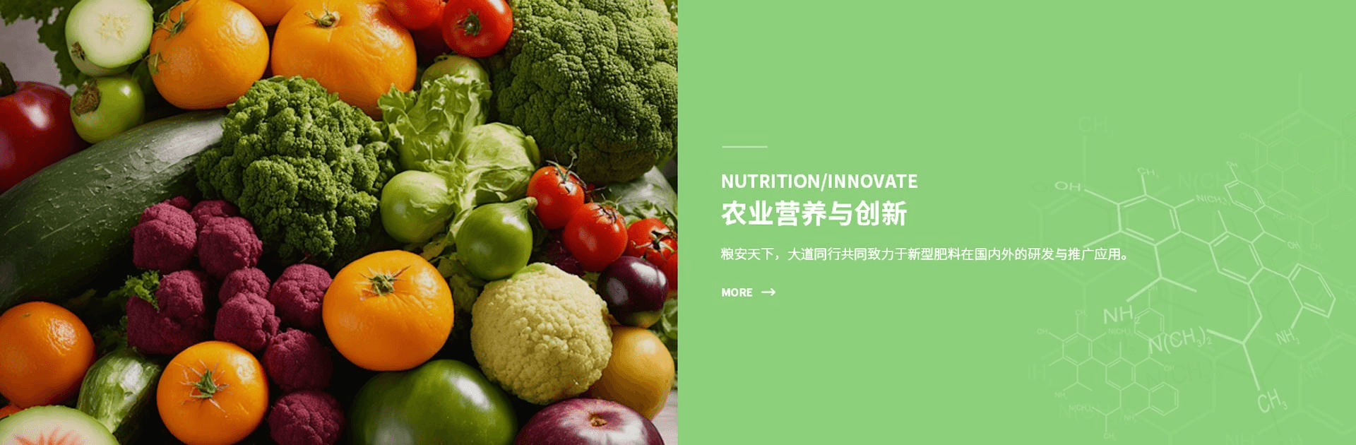 江苏采薇食品配料与营养原料业务展示 2