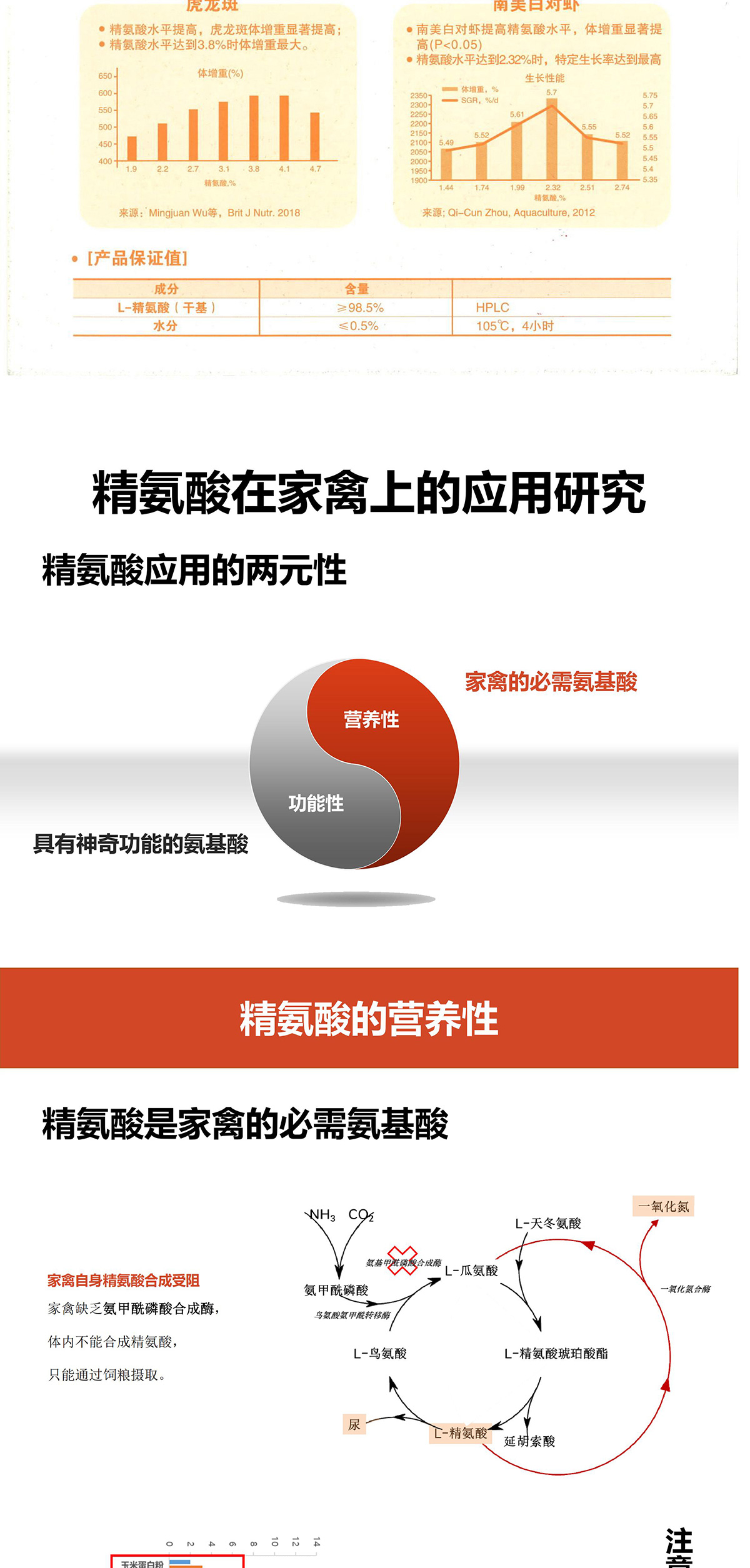 精氨酸 图片 3
