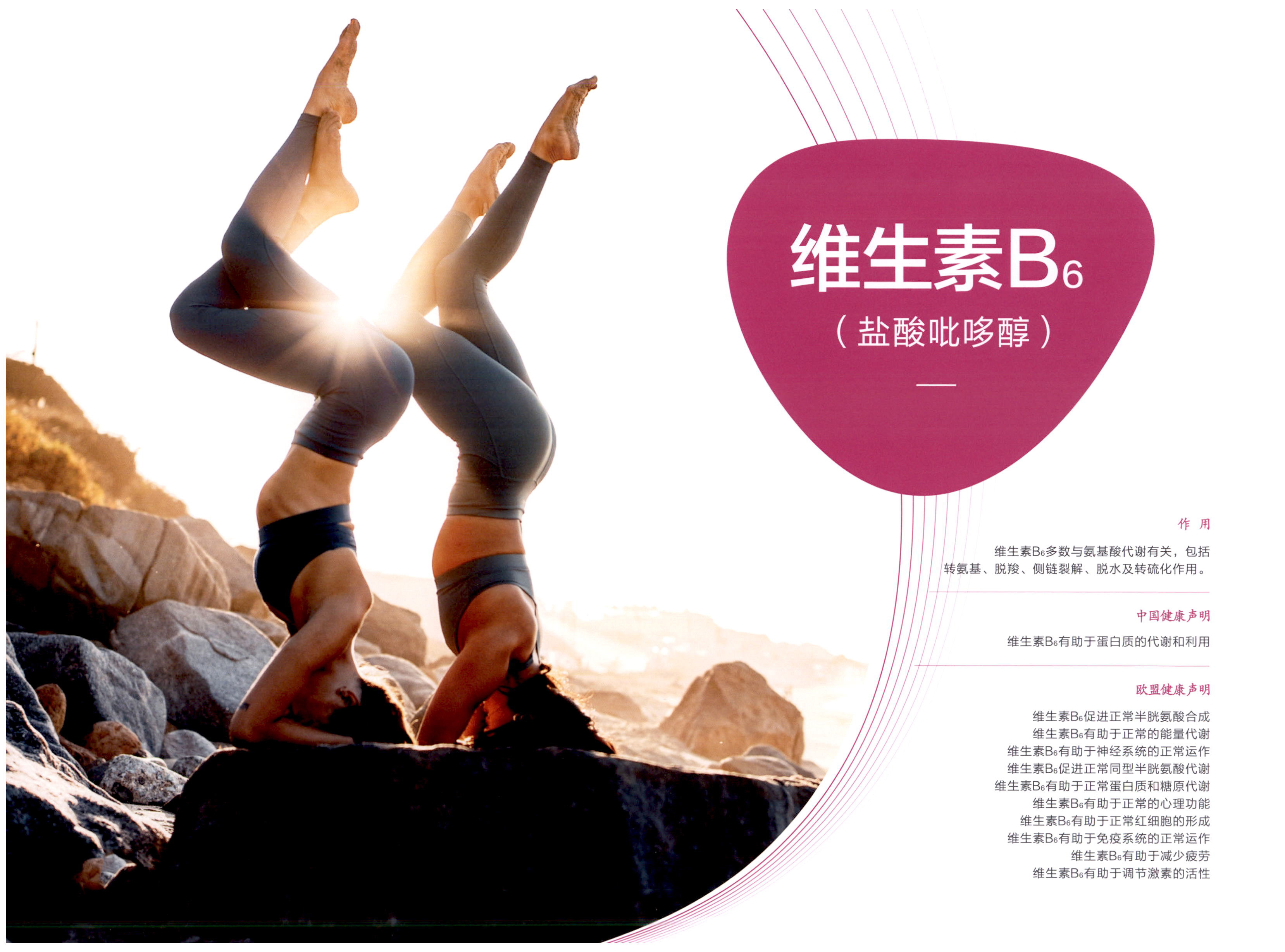 维生素B6 图片 1