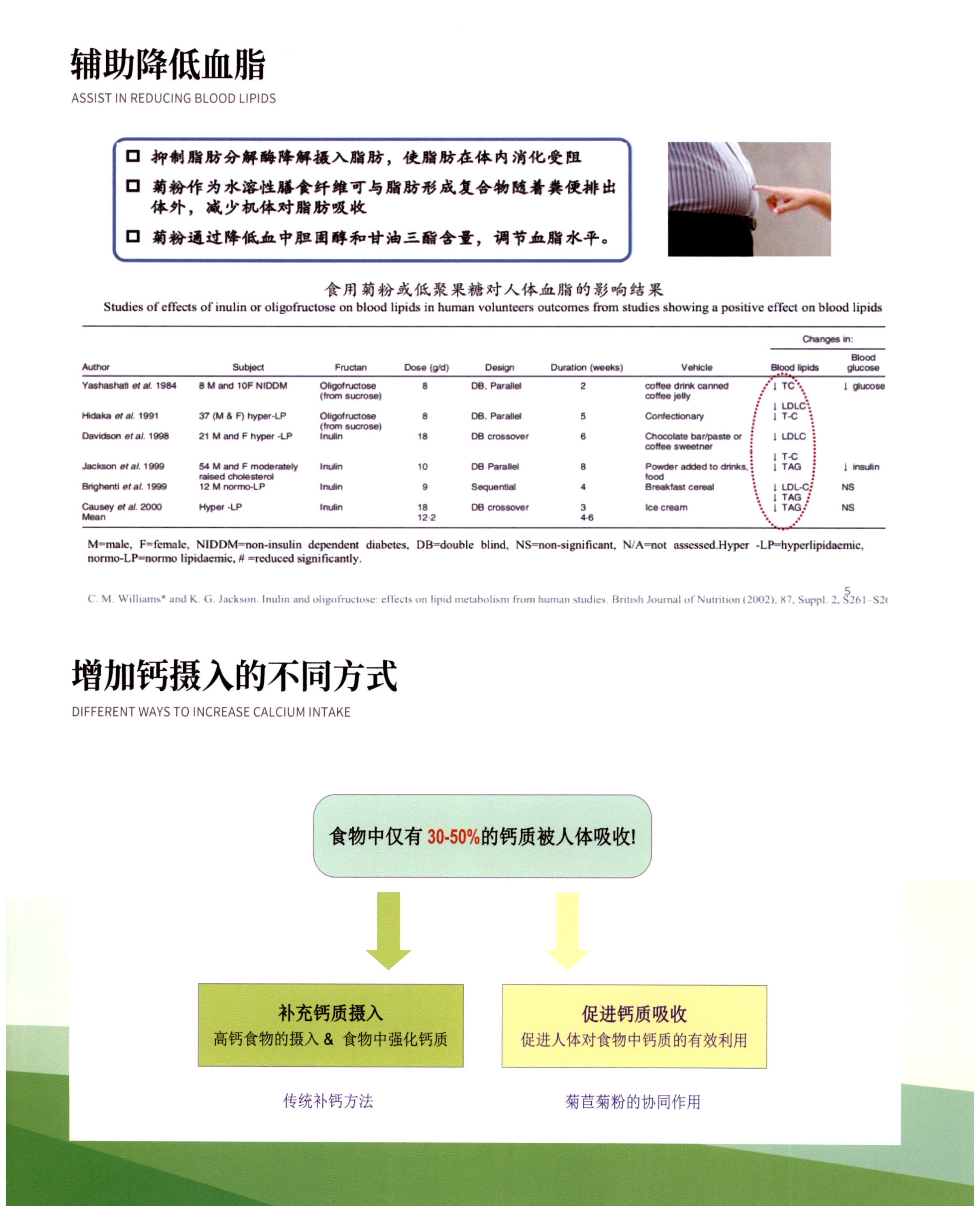 菊粉 图片 4