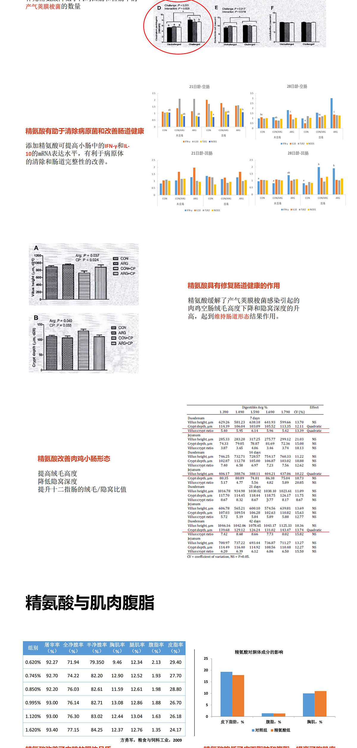 精氨酸 图片 8