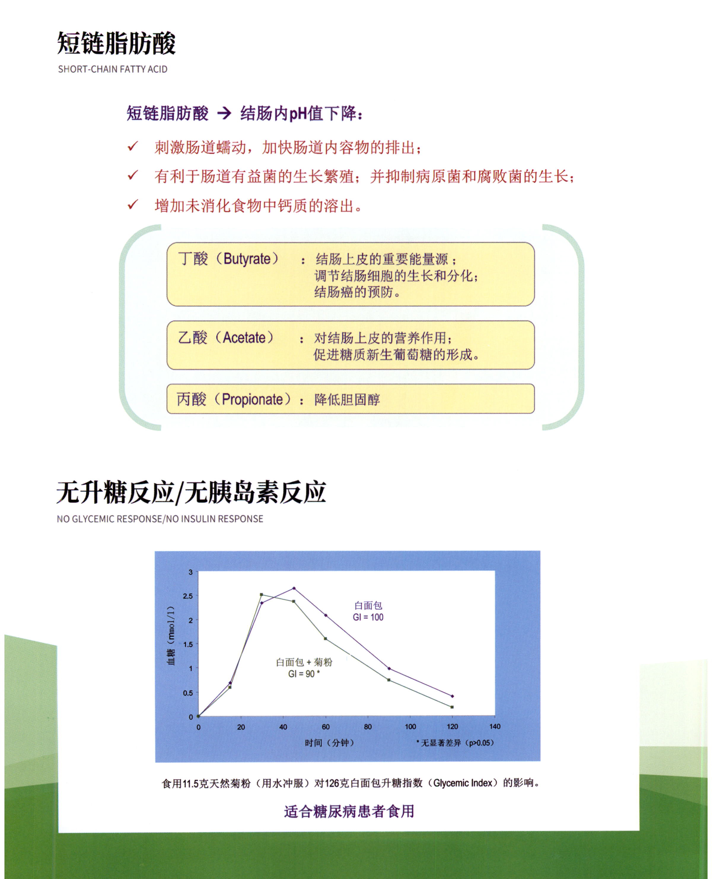菊粉 图片 3