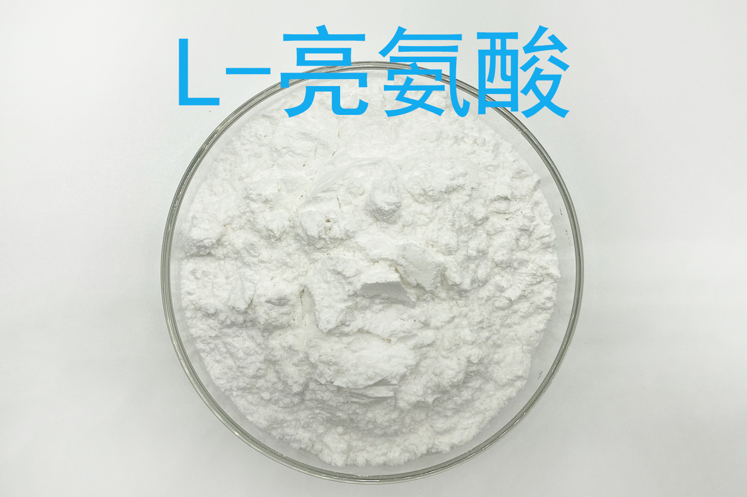 亮氨酸
