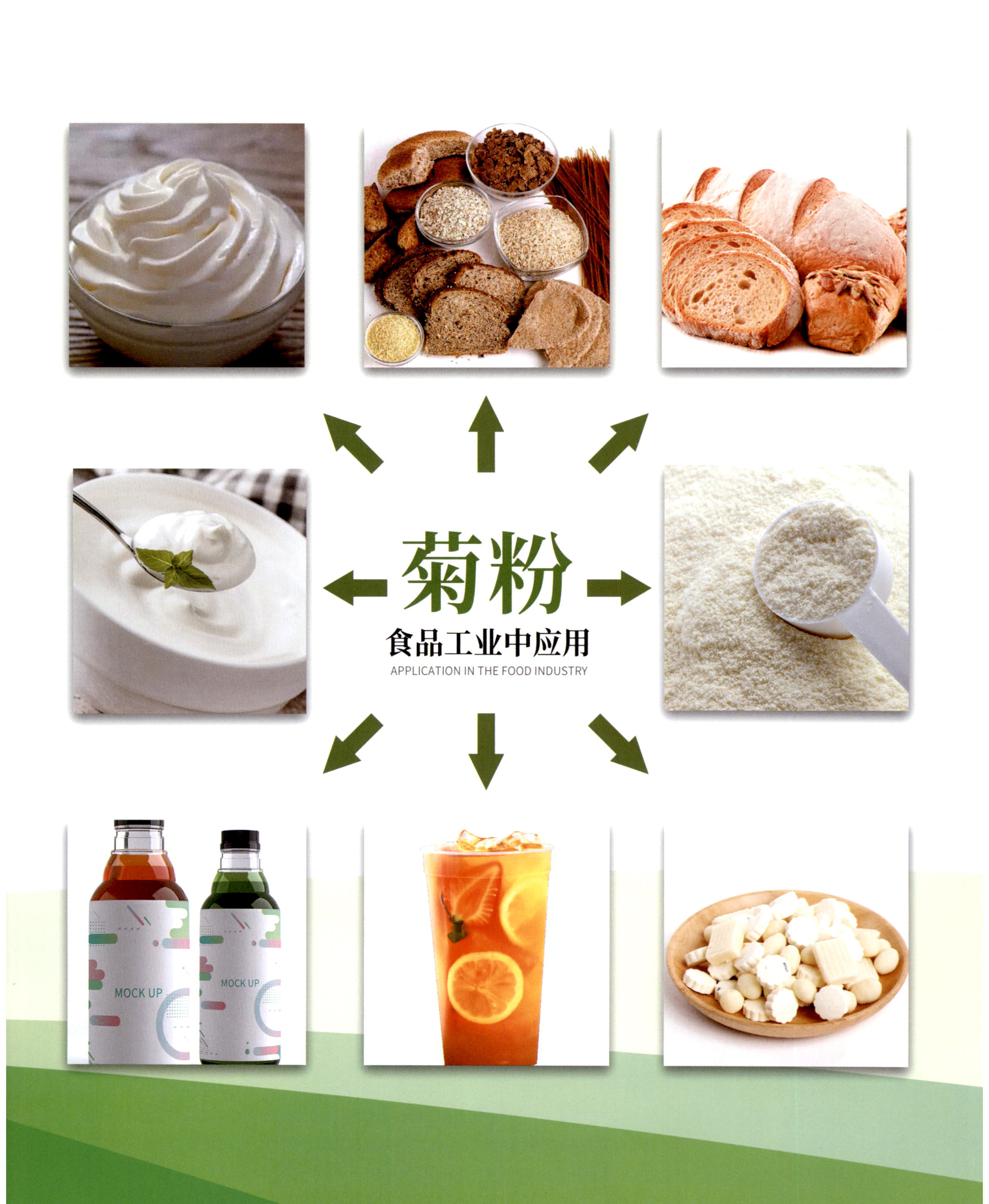 菊粉 图片 2