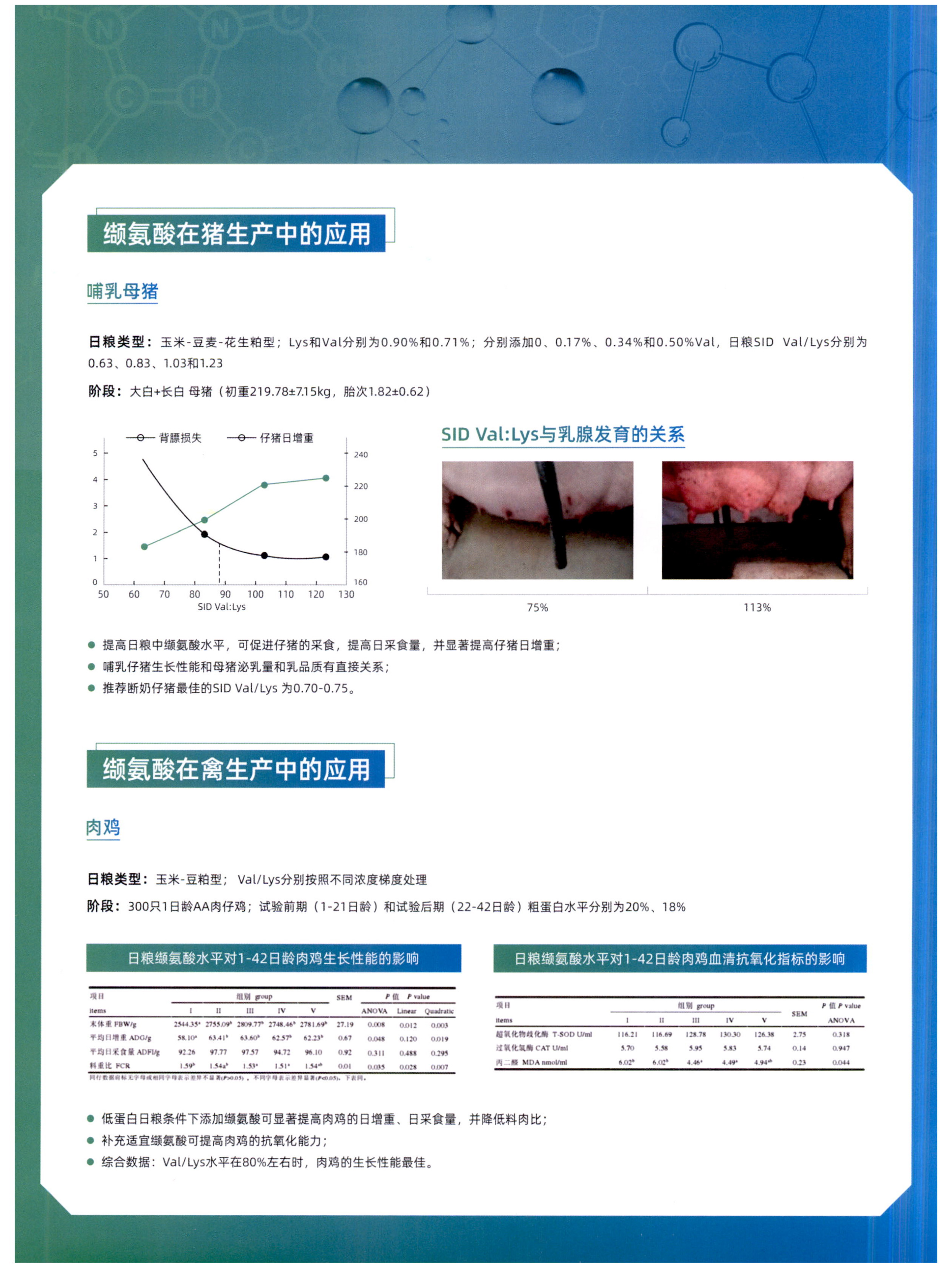 缬氨酸 图片 3