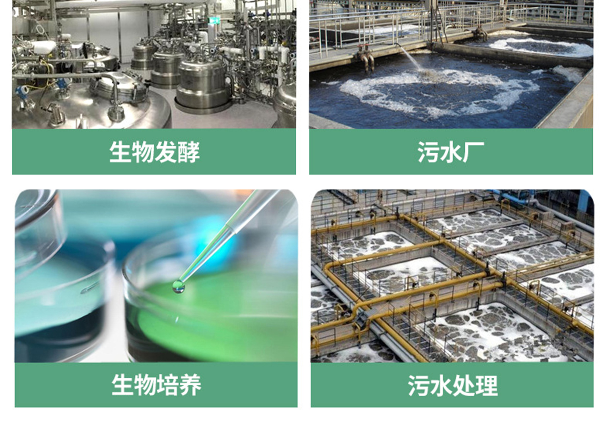 蛋白胨 胰蛋白胨 骨蛋白胨 鱼蛋白胨 大豆蛋白胨 图片 7