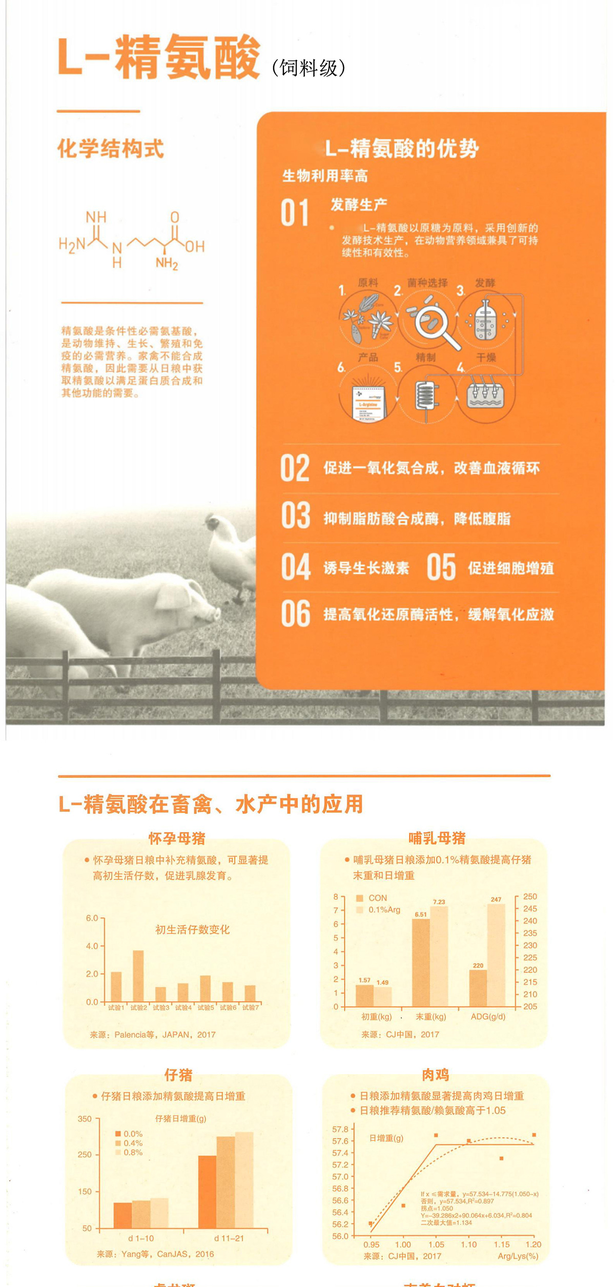精氨酸 图片 2