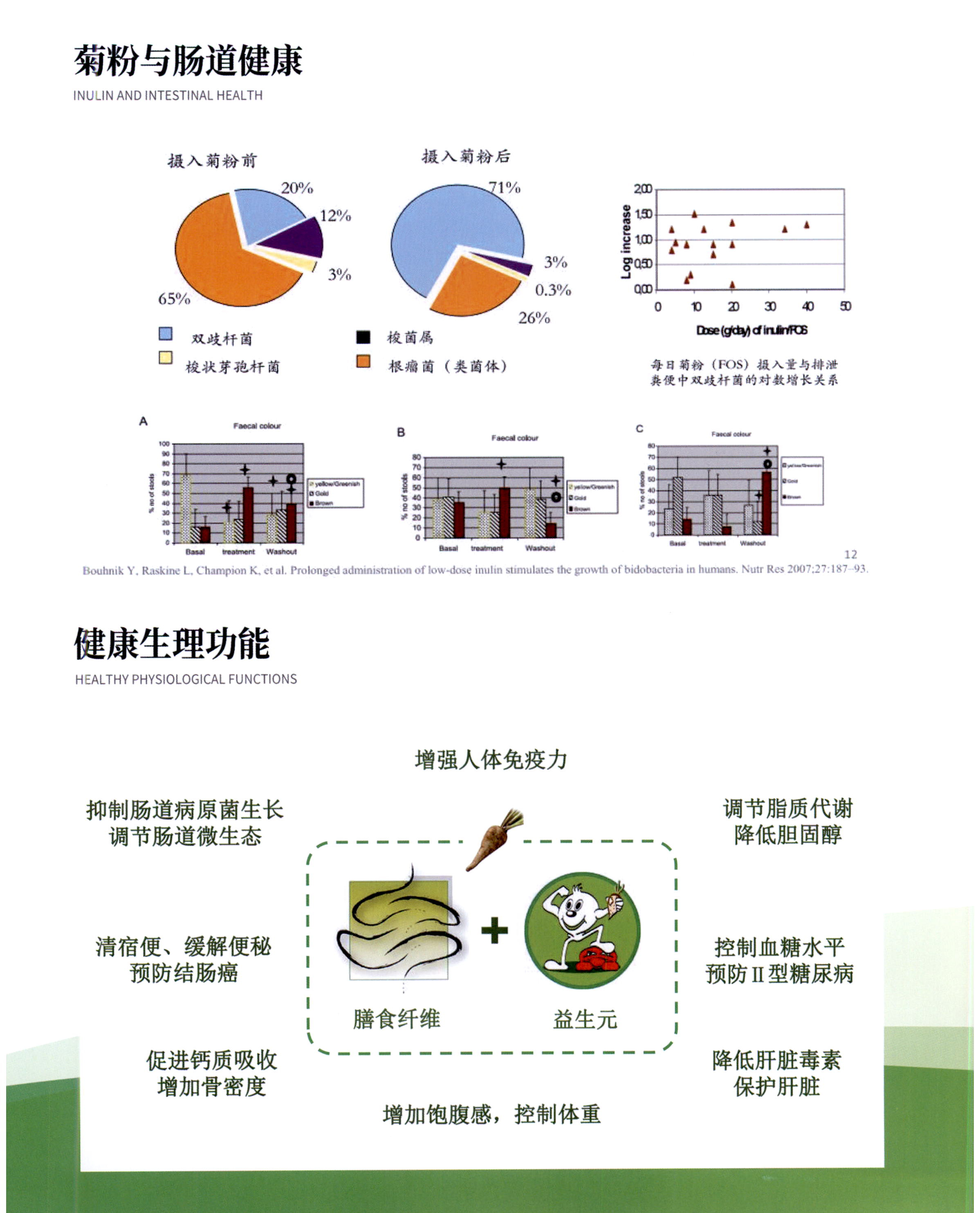 菊粉 图片 7