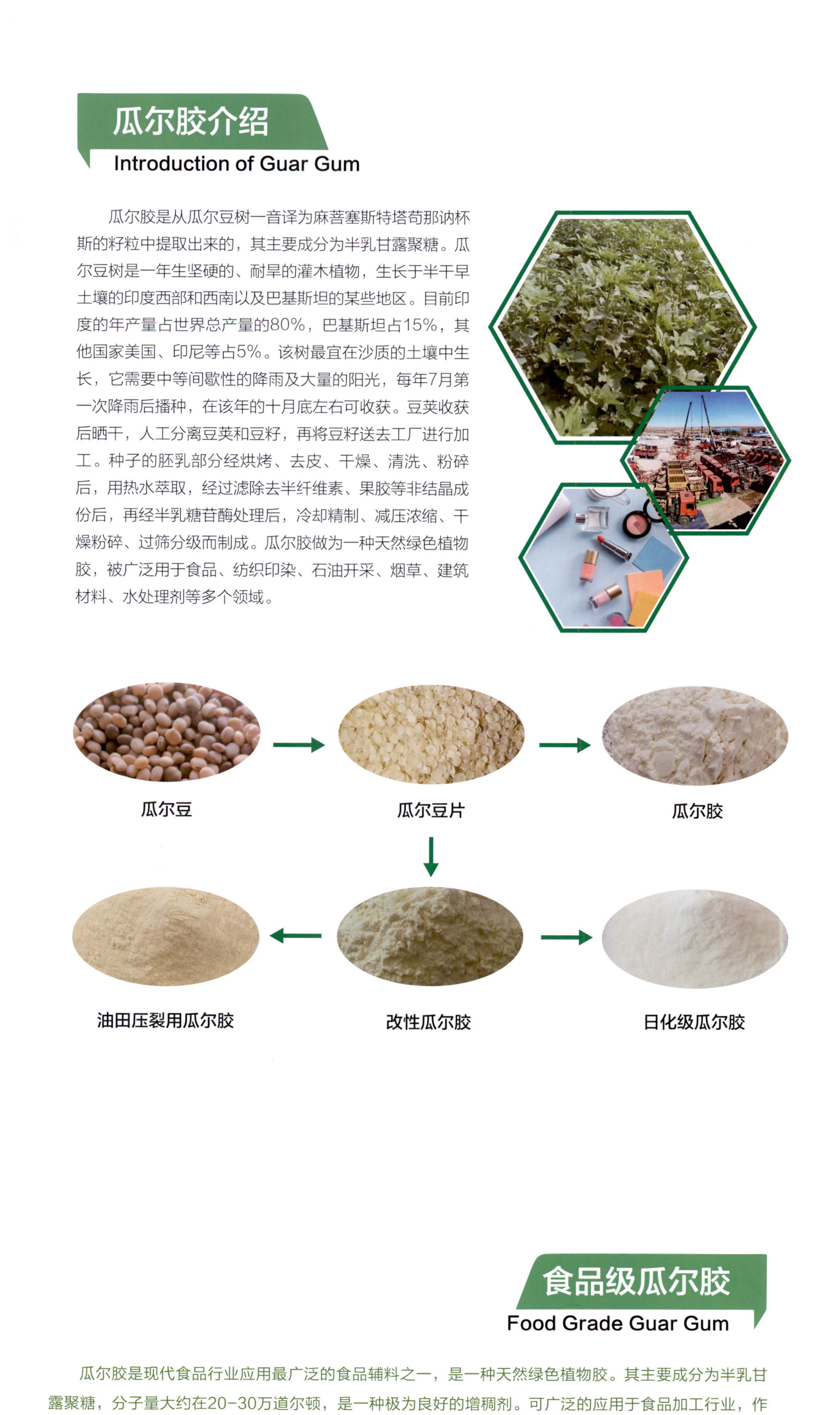 瓜尔胶 瓜尔豆胶 图片 1