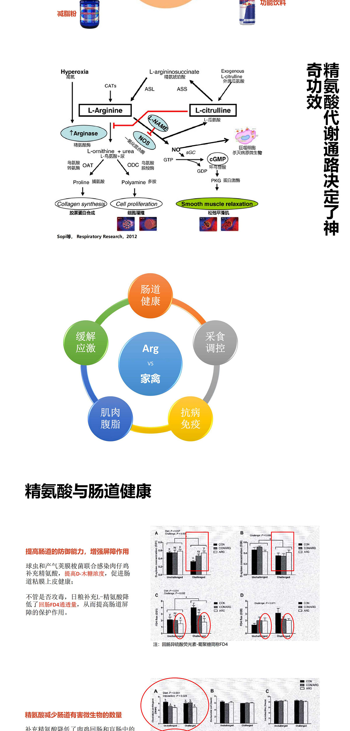 精氨酸 图片 7