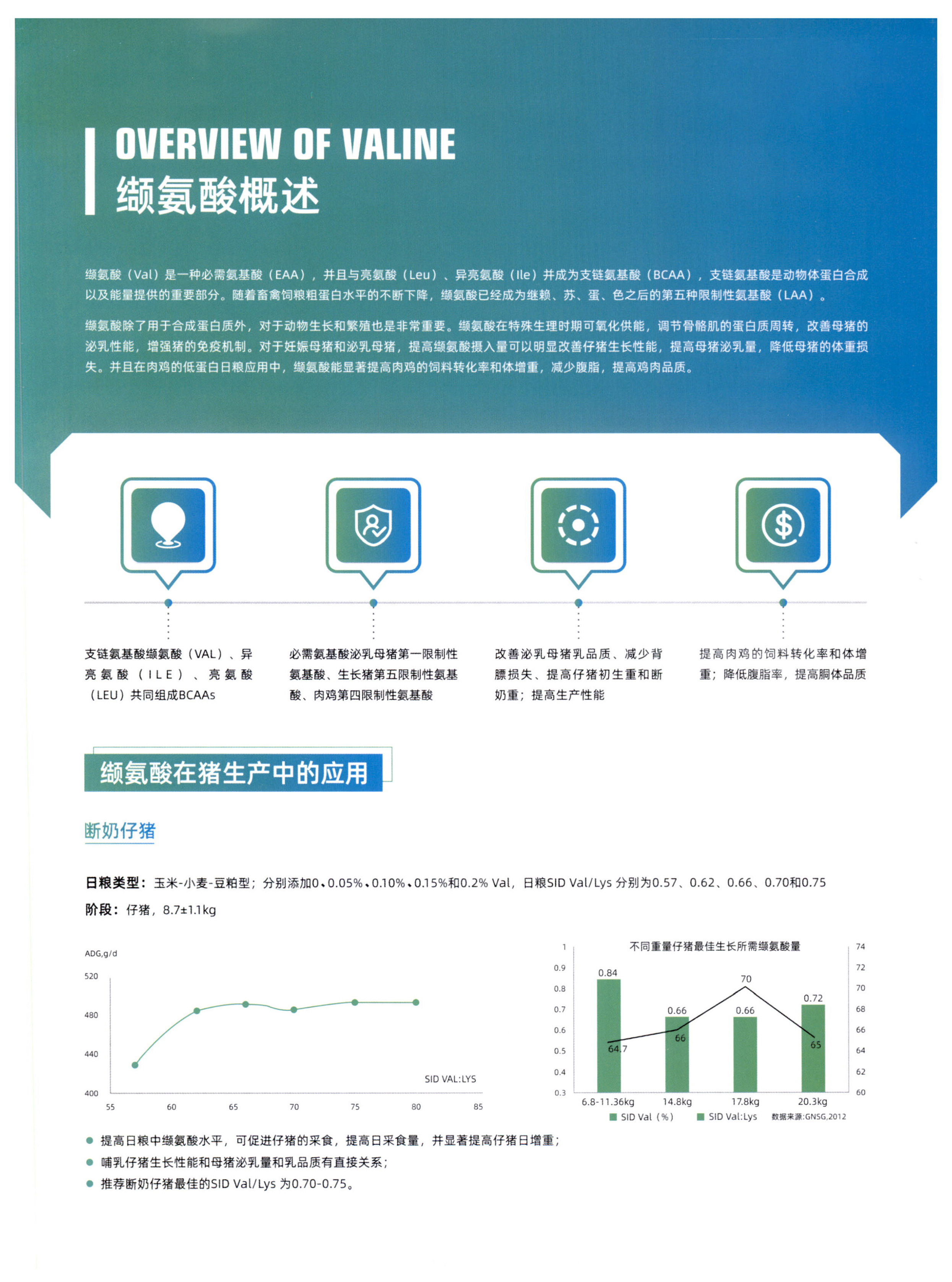 缬氨酸 图片 2